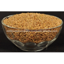 fenugreek seeds india